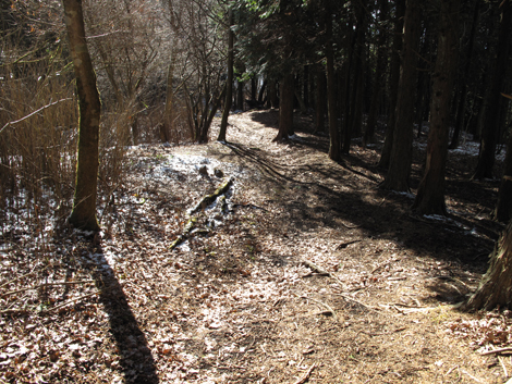 20161216hike (206)